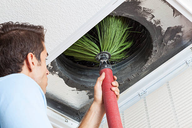 Best General Air Duct Cleaning  in Mayo, FL