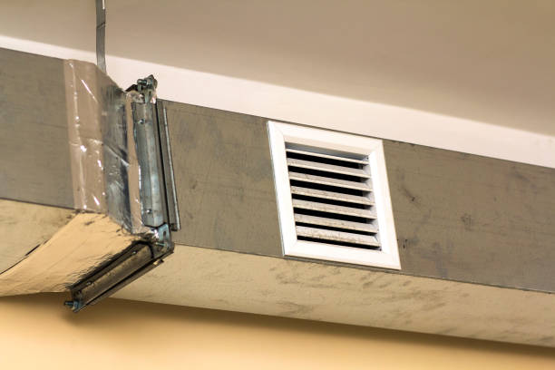 Best Affordable HVAC Duct Cleaning  in Mayo, FL